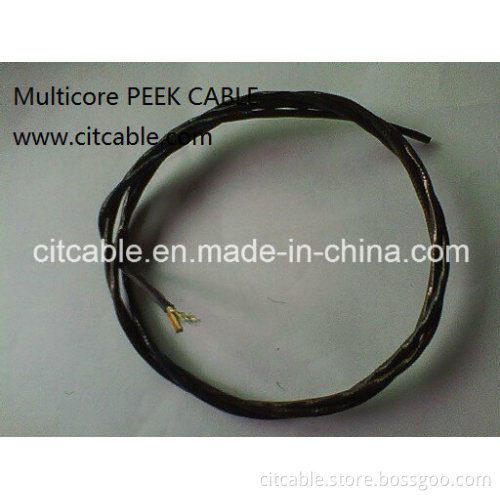 Peek Wire Cable for High-Speed Rail